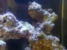 [TodoMarino.com] Burbujas oOooOo BUBBLE OoOOooO