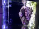 [TodoMarino.com] Nano 30 litros