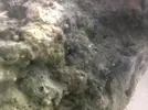 [TodoMarino.com] Novato y ¿que sera esto?