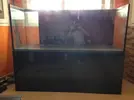 [TodoMarino.com] Cambio de cristal, nueva mesa, nuevo sump y urna de relleno.