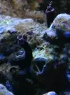 [TodoMarino.com] Soy nuevo en el mundo marino !!!