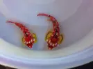 [TodoMarino.com] En Abril peces, corales, mil