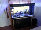 [TodoMarino.com] ayuda con sustrato para cambiar de un acuario a otro todo !!!