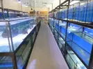 [TodoMarino.com] Fotos de nuestras instalaciones preparadas!!!