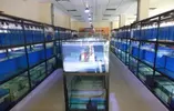[TodoMarino.com] Fotos de nuestras instalaciones preparadas!!!