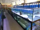 [TodoMarino.com] Fotos de nuestras instalaciones preparadas!!!