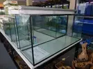 [TodoMarino.com] Fabricamos acuarios totalmente personalizables.