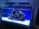 [TodoMarino.com] Storm Reef- EVOLUCION!!!