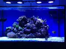 [TodoMarino.com] Storm Reef- EVOLUCION!!!