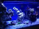 [TodoMarino.com] Storm Reef- EVOLUCION!!!
