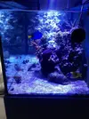 [TodoMarino.com] Storm Reef- EVOLUCION!!!