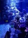 [TodoMarino.com] Storm Reef- EVOLUCION!!!