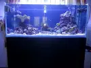 [TodoMarino.com] como lavar arena antes de introducir al acuario? ayuda ,solo lavar o dejar a remojo?