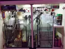 [TodoMarino.com] El acuario de Juancar