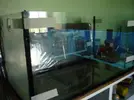 [TodoMarino.com] reef 128 litros 100 % DIY