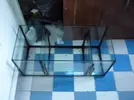 [TodoMarino.com] reef 128 litros 100 % DIY