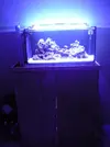 [TodoMarino.com] reef 128 litros 100 % DIY