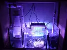 [TodoMarino.com] reef 128 litros 100 % DIY