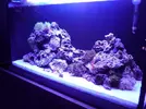 [TodoMarino.com] reef 128 litros 100 % DIY