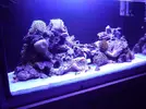 [TodoMarino.com] reef 128 litros 100 % DIY