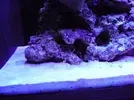 [TodoMarino.com] reef 128 litros 100 % DIY