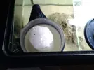 [TodoMarino.com] Mi Acuario Marino Rural de 120l