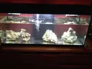 [TodoMarino.com] Mi Acuario Marino Rural de 120l