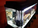 [TodoMarino.com] Mi Acuario Marino Rural de 120l