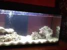 [TodoMarino.com] Mi Acuario Marino Rural de 120l
