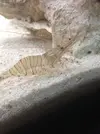 [TodoMarino.com] Mi Acuario Marino Rural de 120l