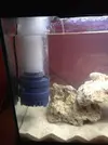 [TodoMarino.com] Mi Acuario Marino Rural de 120l