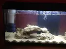 [TodoMarino.com] Mi Acuario Marino Rural de 120l