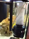 [TodoMarino.com] Mi Acuario Marino Rural de 120l
