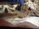 [TodoMarino.com] Mi Acuario Marino Rural de 120l