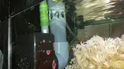 [TodoMarino.com] Nanoreef 120 litros (7 meses vida)