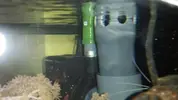 [TodoMarino.com] Nanoreef 120 litros (7 meses vida)