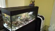 [TodoMarino.com] Nanoreef 120 litros (7 meses vida)