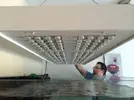 [TodoMarino.com] Ampliación de 91L a 570L + Sump!
