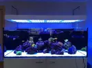 [TodoMarino.com] Ampliación de 91L a 570L + Sump!