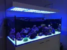 [TodoMarino.com] Ampliación de 91L a 570L + Sump!