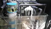 [TodoMarino.com] Dudas Rocas Sump