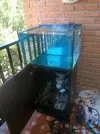 [TodoMarino.com] Reef cúbico white sand