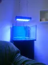[TodoMarino.com] Reef cúbico white sand