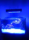 [TodoMarino.com] Reef cúbico white sand