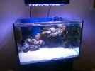 [TodoMarino.com] Reef cúbico white sand
