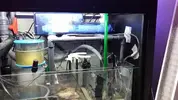 [TodoMarino.com] Mi nuevo reef