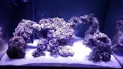 [TodoMarino.com] Mi nuevo reef
