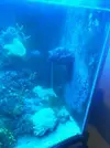 [TodoMarino.com] Pico reef 18l