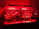 [TodoMarino.com] jessreef