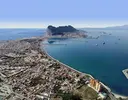 [TodoMarino.com] Arboles de kenia